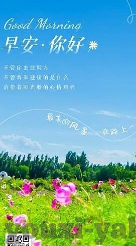 中国新加坡足球比分-中新足球对决，比分背后的竞技精神与文化交流